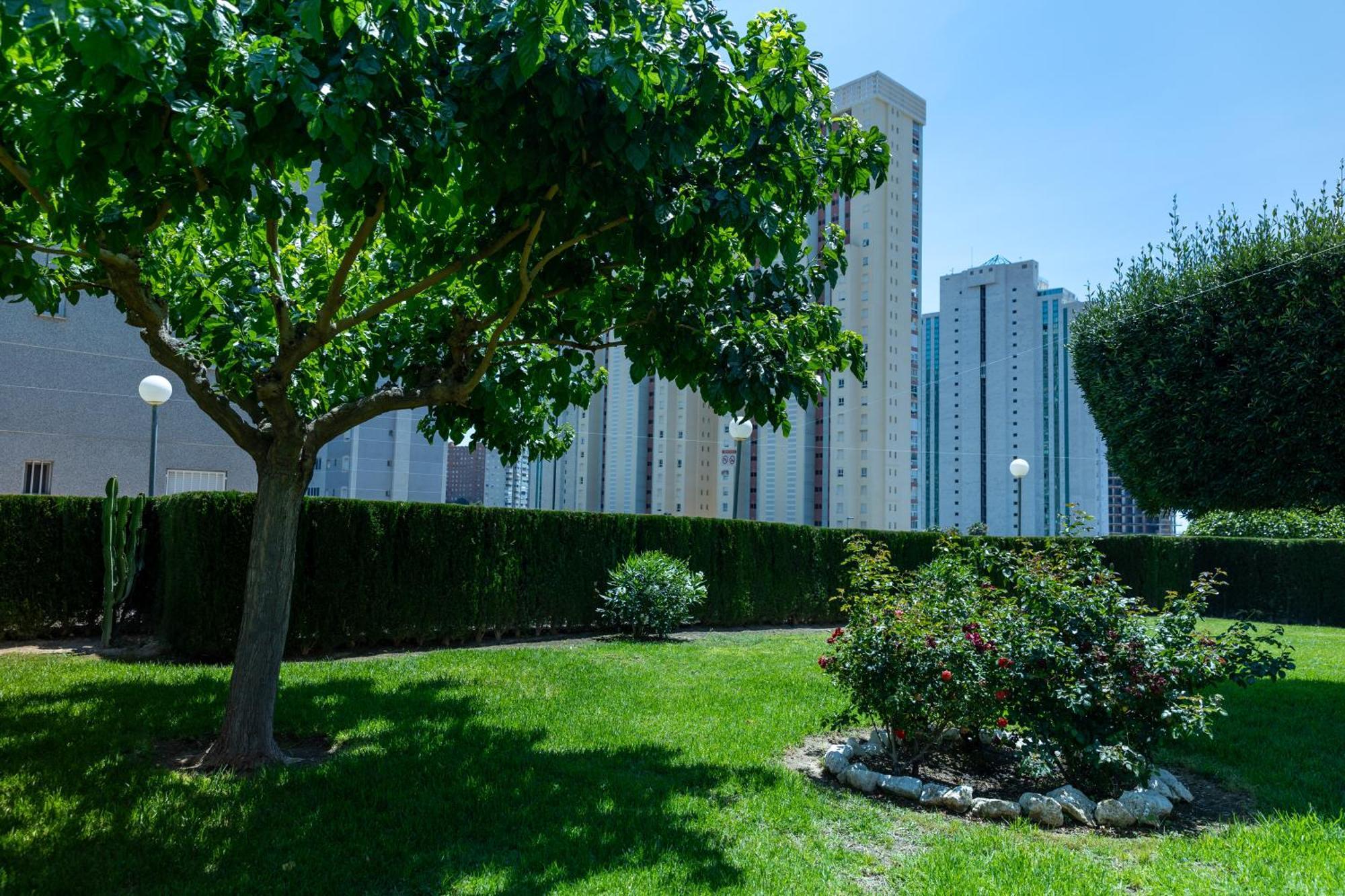 Apartamento Aguaviva Mar La Cala Benidorm كالا دي فينيسترات المظهر الخارجي الصورة